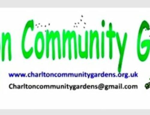 Charlton Community Garden – Gardening and AGM