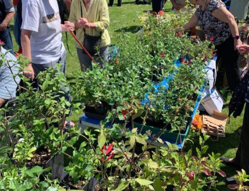 Plant Sales and Community Day, 18 and 21 May 2023