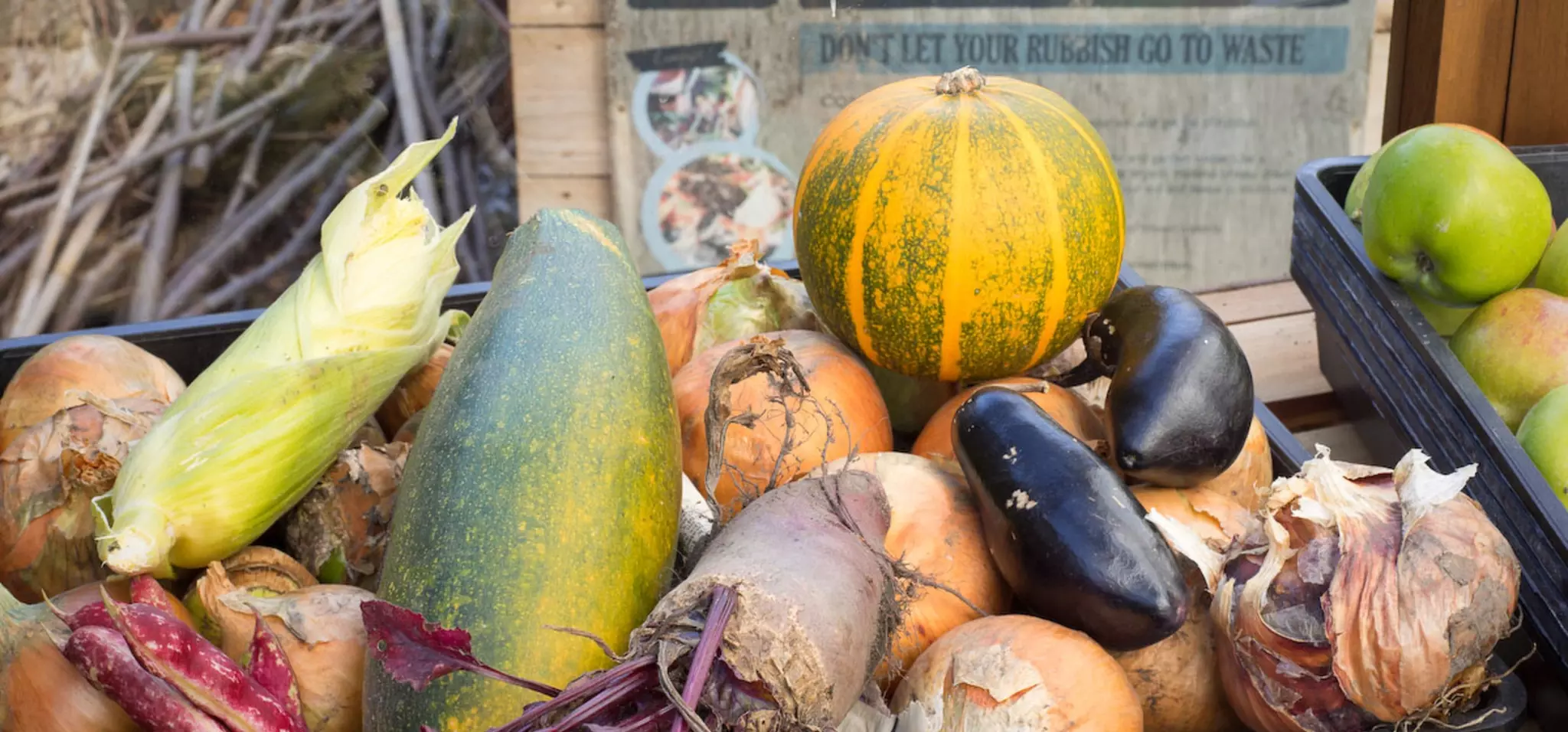 Volunteer at the Queen’s Orchard